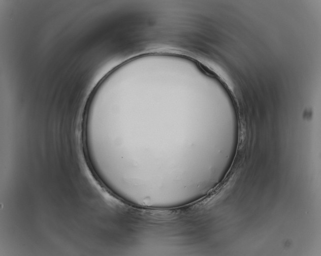 X0000094361007200711301421