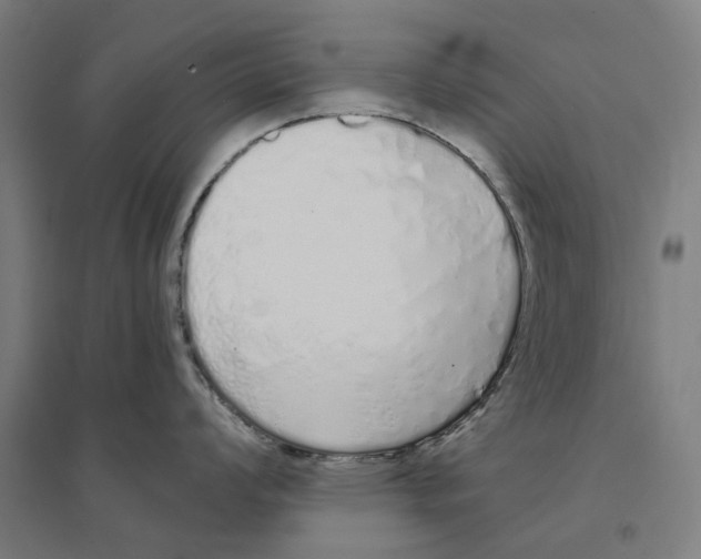 X0000094361008200711301421