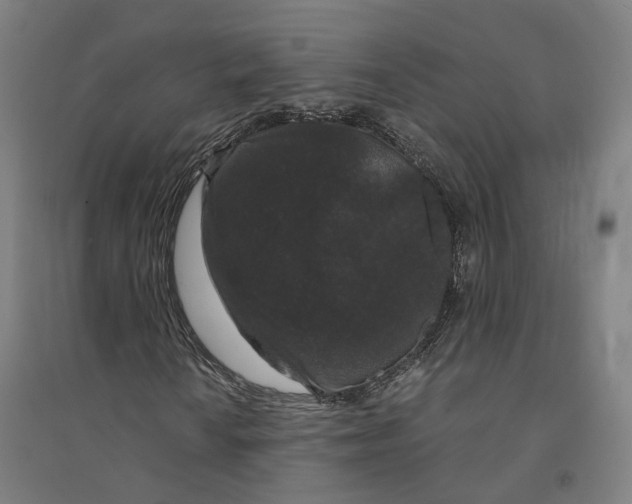 X0000094361010200711301420