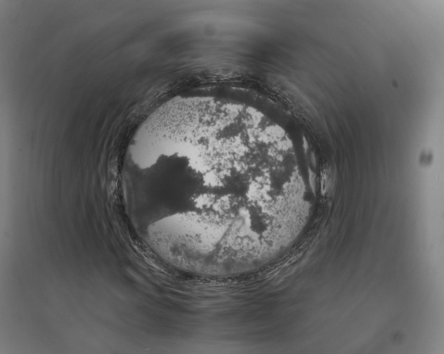 X0000094361011200711301420