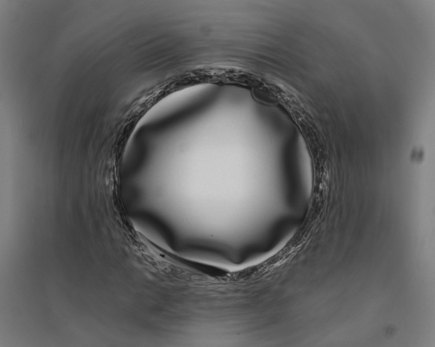 X0000094361014200711301420