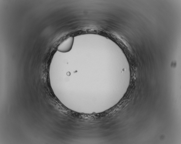 X0000094361015200711301420