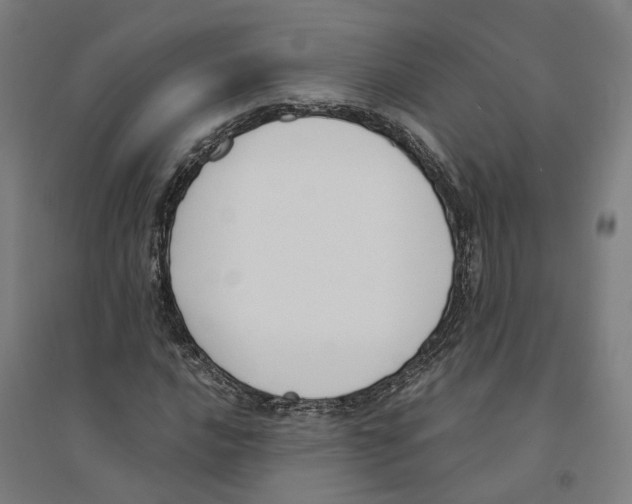X0000094361016200711301420