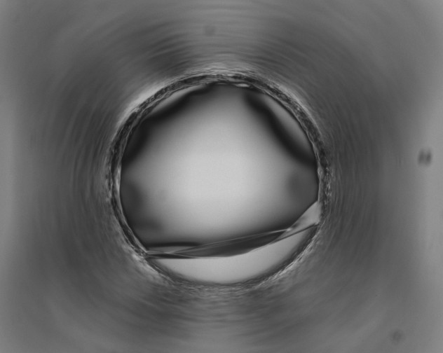 X0000094361018200711301420
