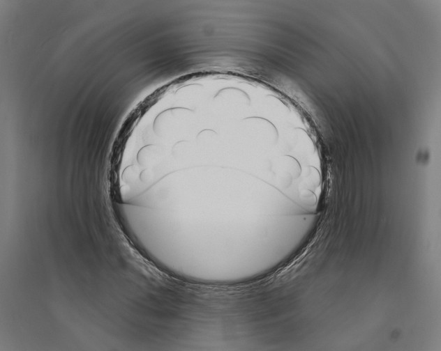 X0000094361020200711301420