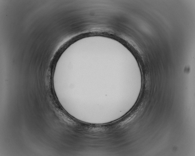 X0000094361021200711301420