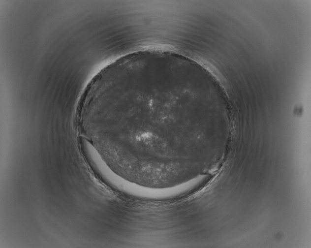 X0000094361022200711301420