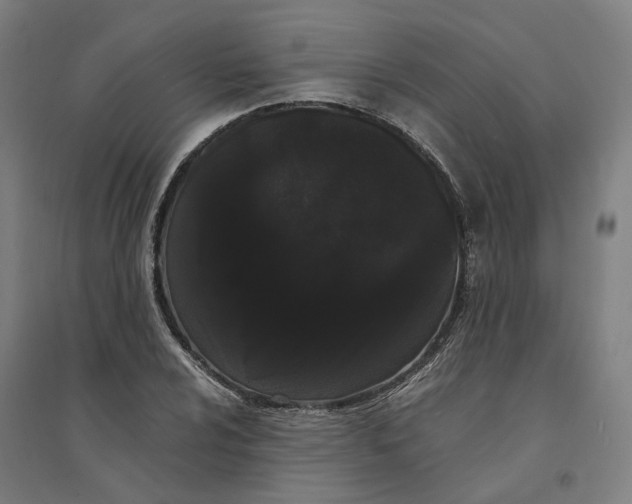 X0000094361024200711301420