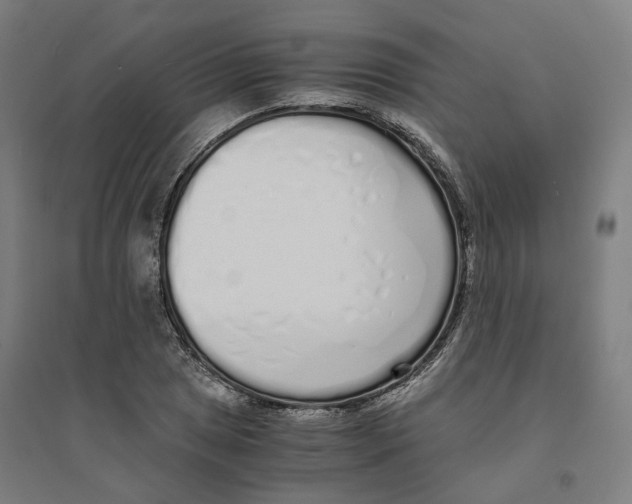 X0000094361025200711301420