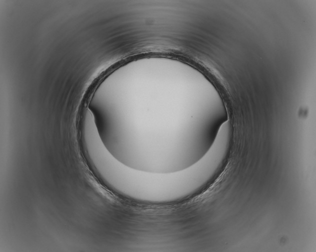 X0000094361026200711301420