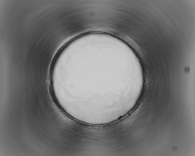 X0000094361028200711301420