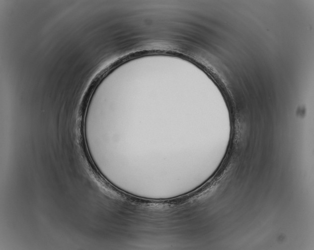 X0000094361029200711301420