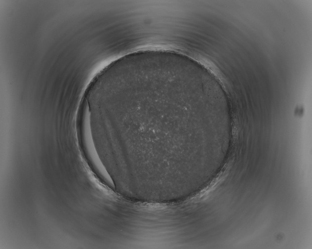 X0000094361030200711301420