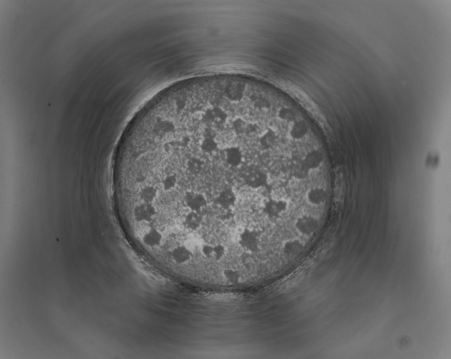 X0000094361031200711301420