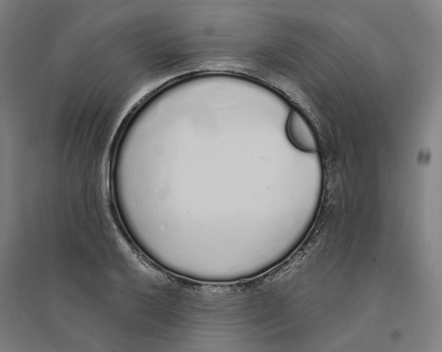X0000094361032200711301420