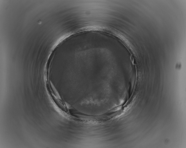 X0000094361034200711301420