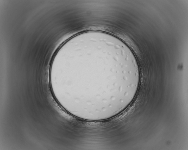 X0000094361036200711301420