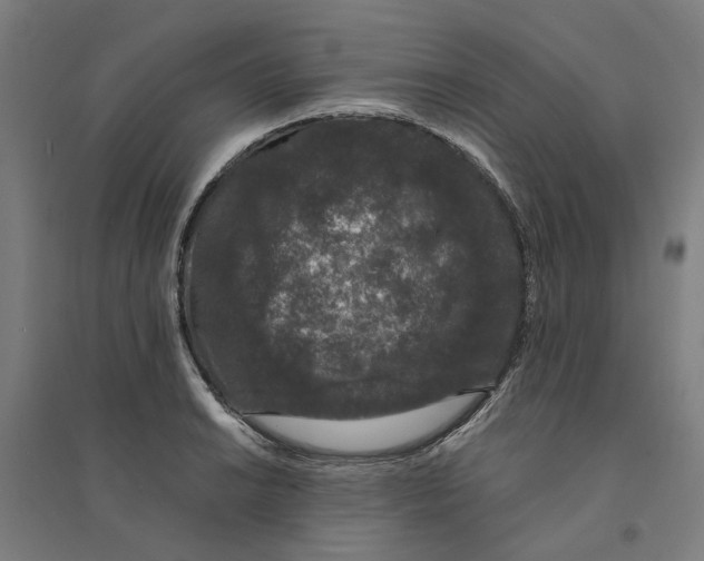 X0000094361038200711301420
