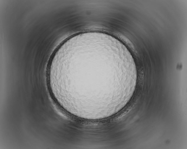 X0000094361039200711301420