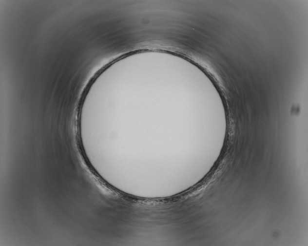 X0000094361040200711301420