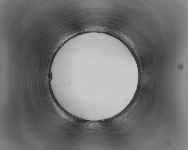 X0000094361041200711301420