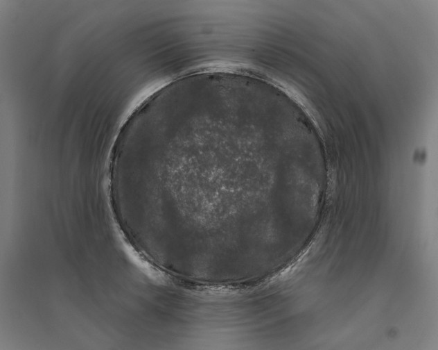 X0000094361042200711301420