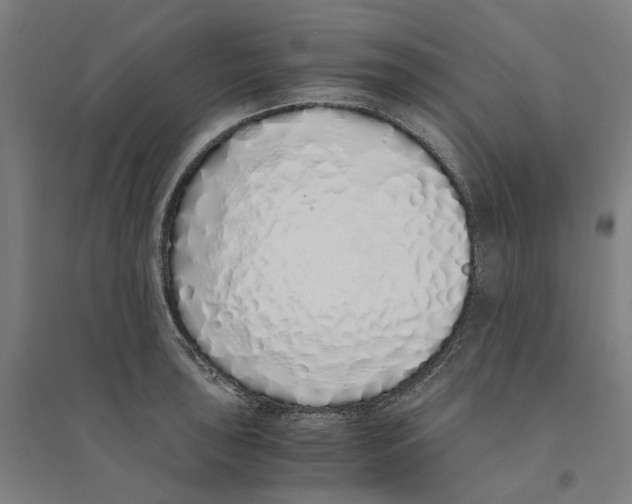 X0000094361043200711301420
