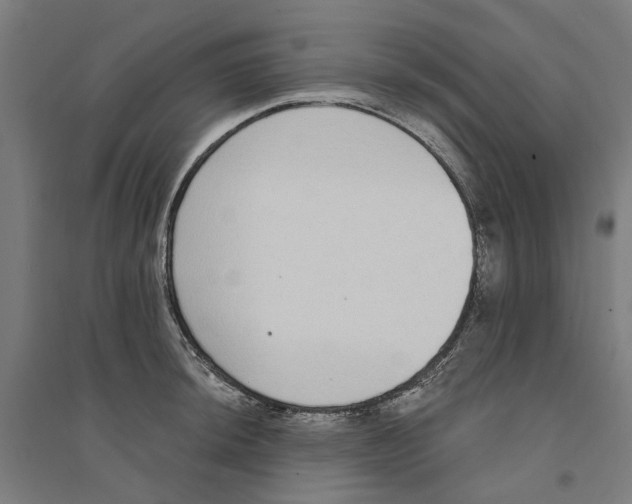 X0000094361044200711301420