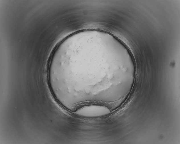 X0000094361045200711301420