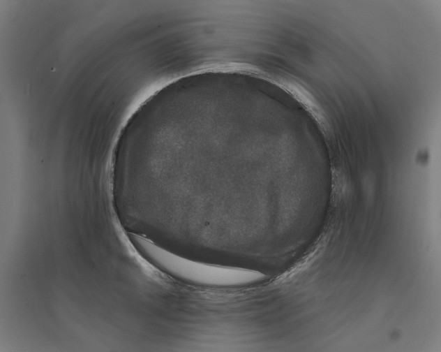 X0000094361046200711301420