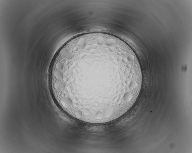 X0000094361047200711301420