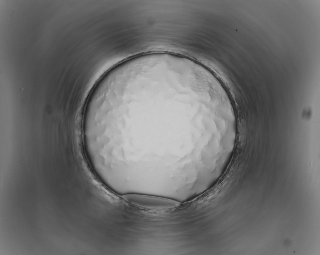 X0000094361048200711301420