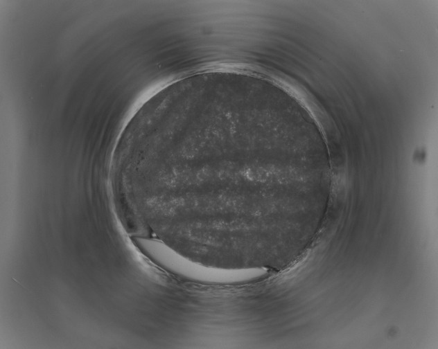 X0000094361050200711301420