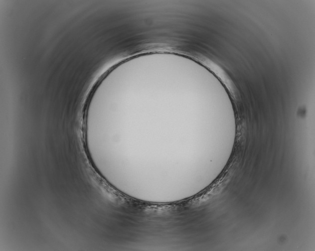 X0000094361051200711301420