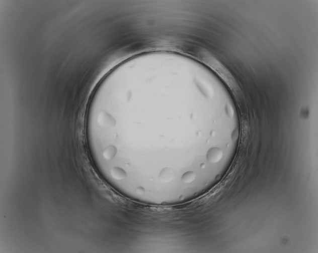 X0000094361052200711301421