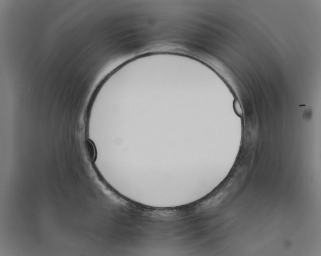 X0000094361053200711301421