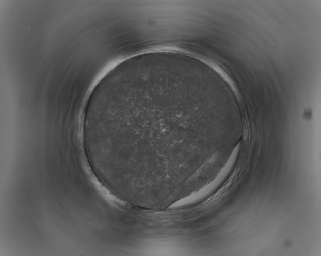 X0000094361054200711301421