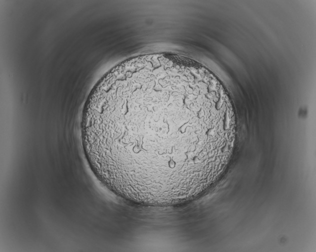 X0000094361055200711301421