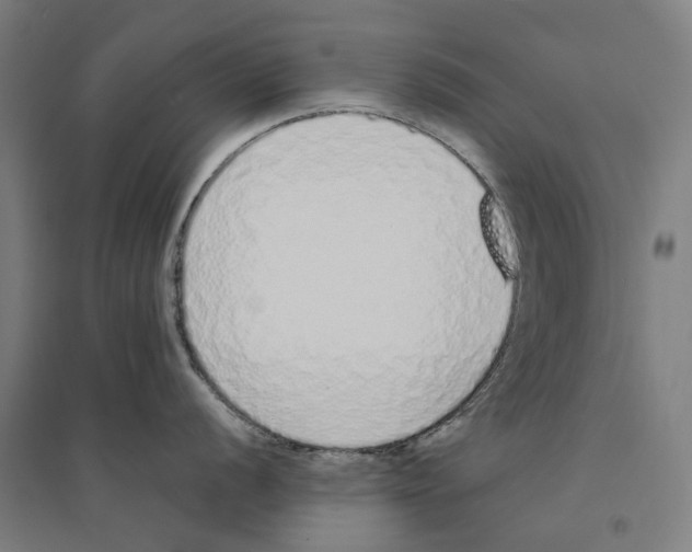 X0000094361056200711301421