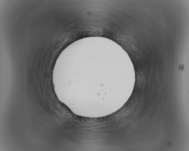 X0000094361057200711301420