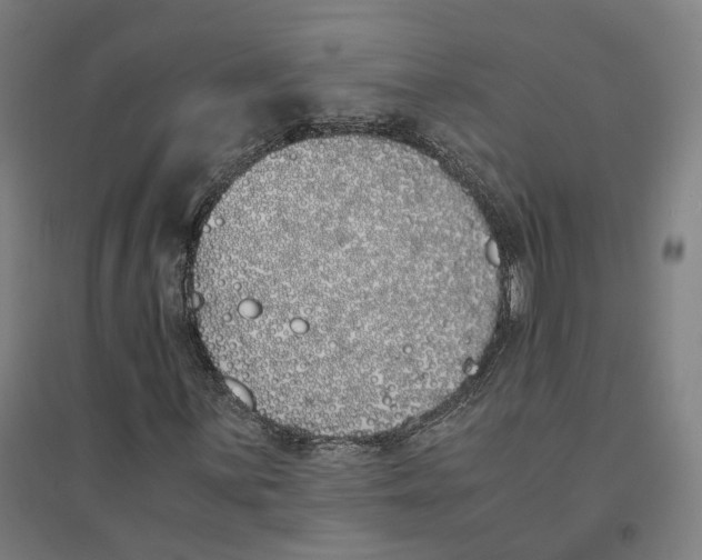 X0000094361059200711301420