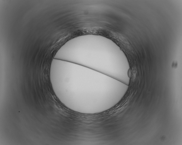 X0000094361060200711301420
