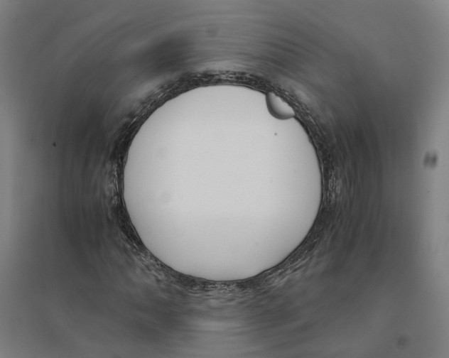 X0000094361062200711301420