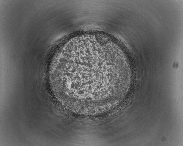X0000094361063200711301420