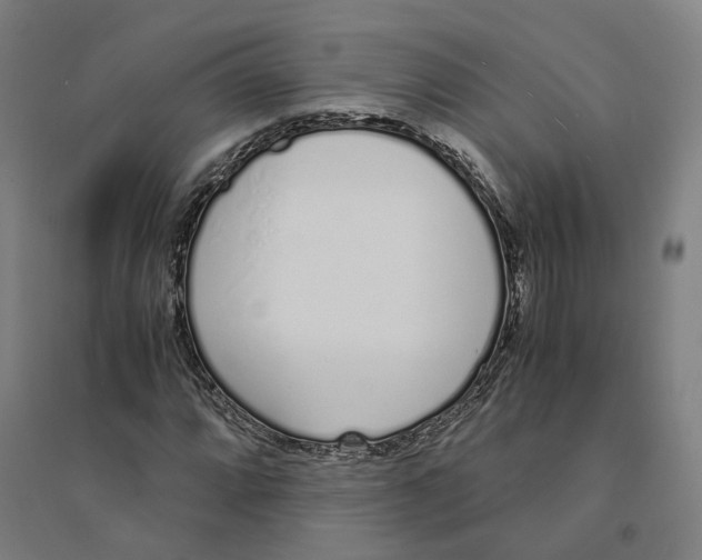 X0000094361064200711301420
