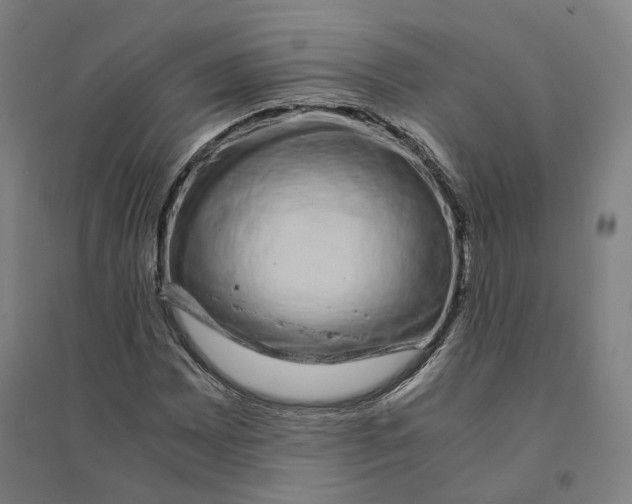 X0000094361065200711301420