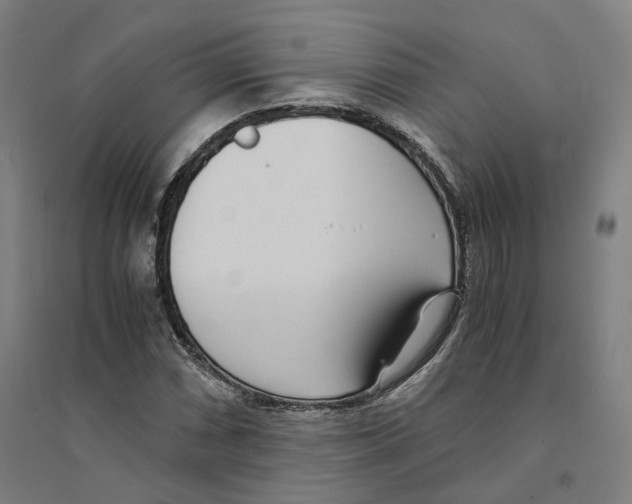 X0000094361066200711301420