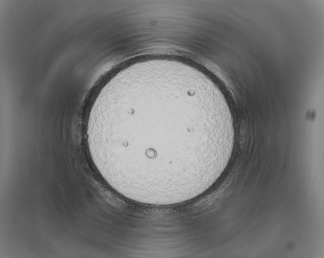 X0000094361067200711301420
