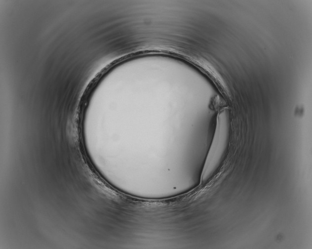 X0000094361068200711301420