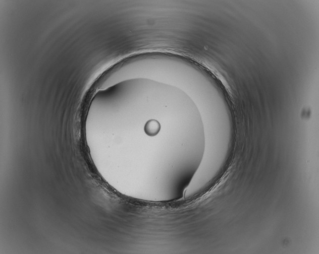 X0000094361069200711301420